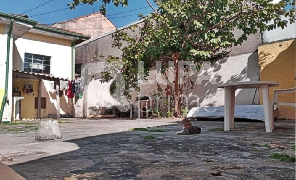 Prédio Inteiro, 363 m² - Foto 3