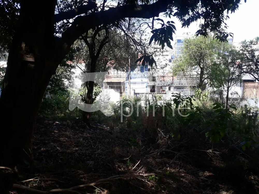 Terreno, 1100 m² - Foto 3