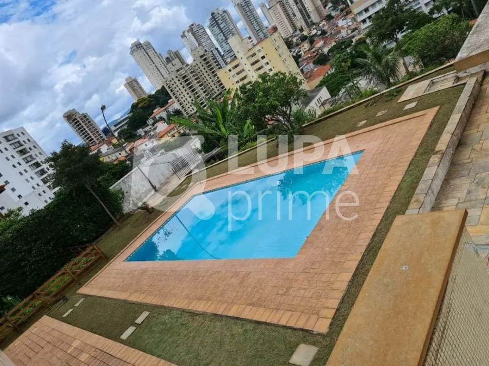 Casa, 3 quartos, 441 m² - Foto 3