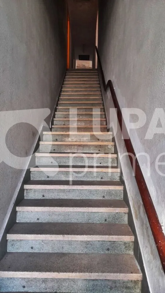Loja-Salão, 180 m² - Foto 5