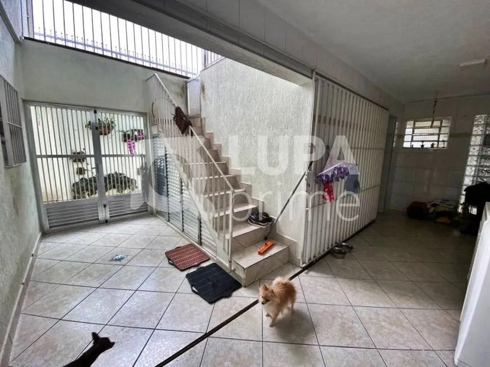 Casa, 4 quartos, 266 m² - Foto 6