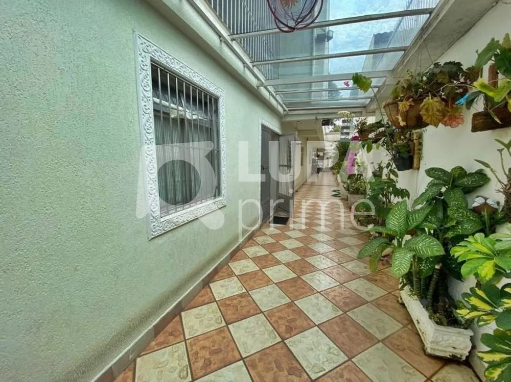 Casa, 4 quartos, 266 m² - Foto 7