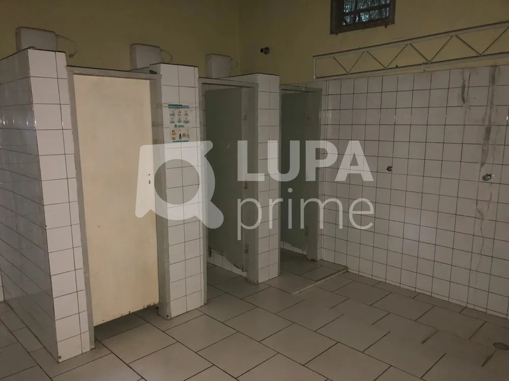 Depósito-Galpão, 2000 m² - Foto 3