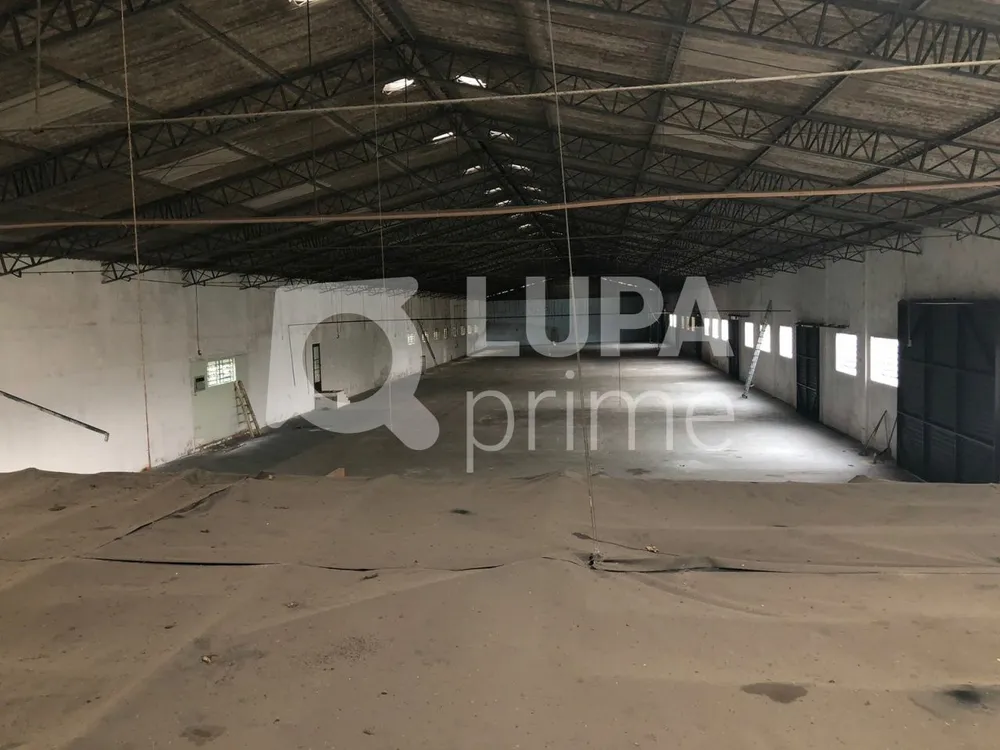 Depósito-Galpão, 2000 m² - Foto 7