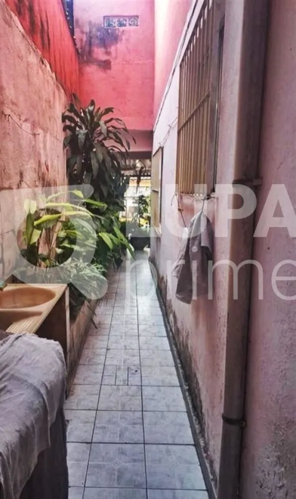 Casa, 4 quartos, 140 m² - Foto 6