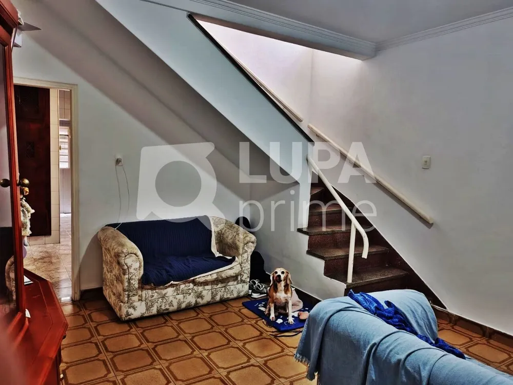 Casa, 8 quartos, 335 m² - Foto 5