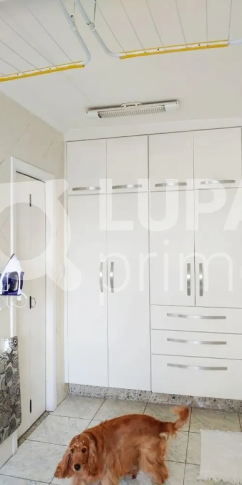 Apartamento, 4 quartos, 150 m² - Foto 4