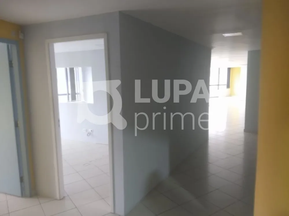 Sala-Conjunto, 220 m² - Foto 5
