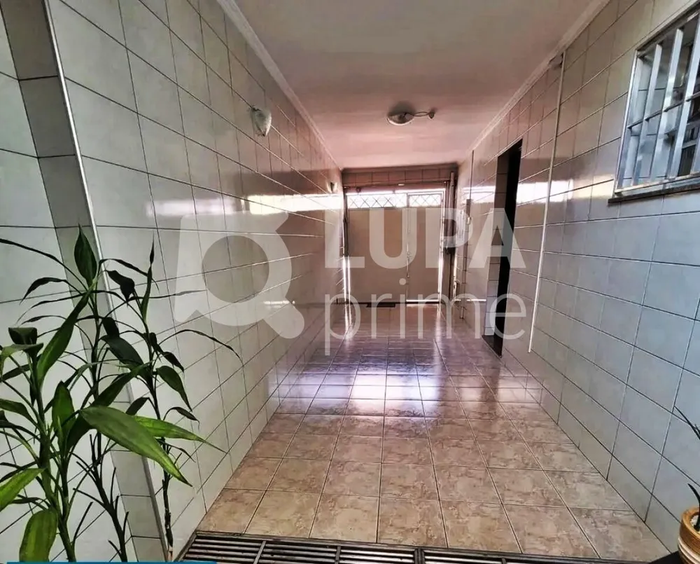 Casa, 3 quartos, 146 m² - Foto 13