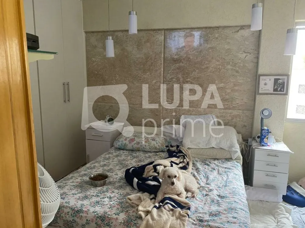 Apartamento, 3 quartos, 110 m² - Foto 8