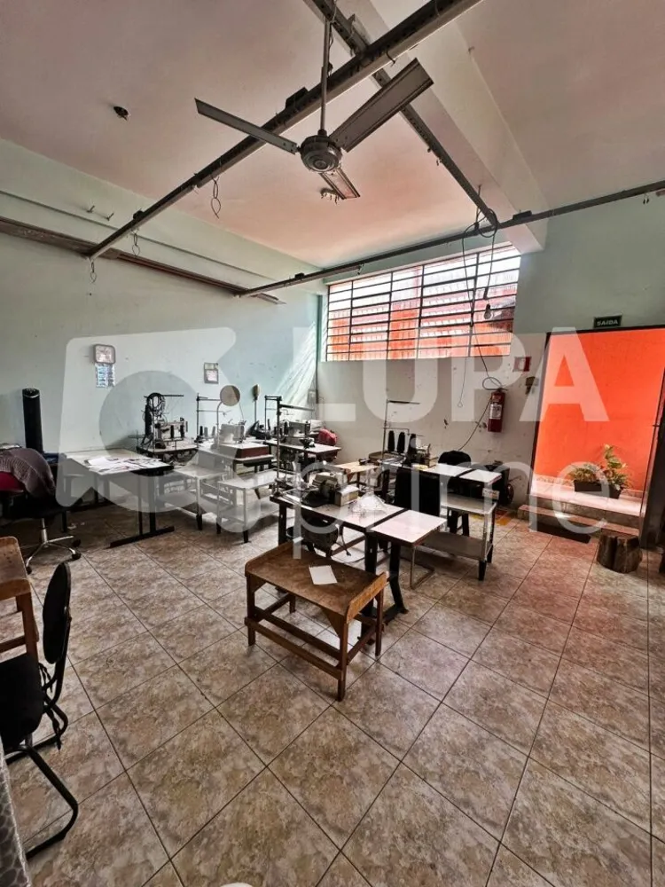 Casa, 3 quartos, 407 m² - Foto 19