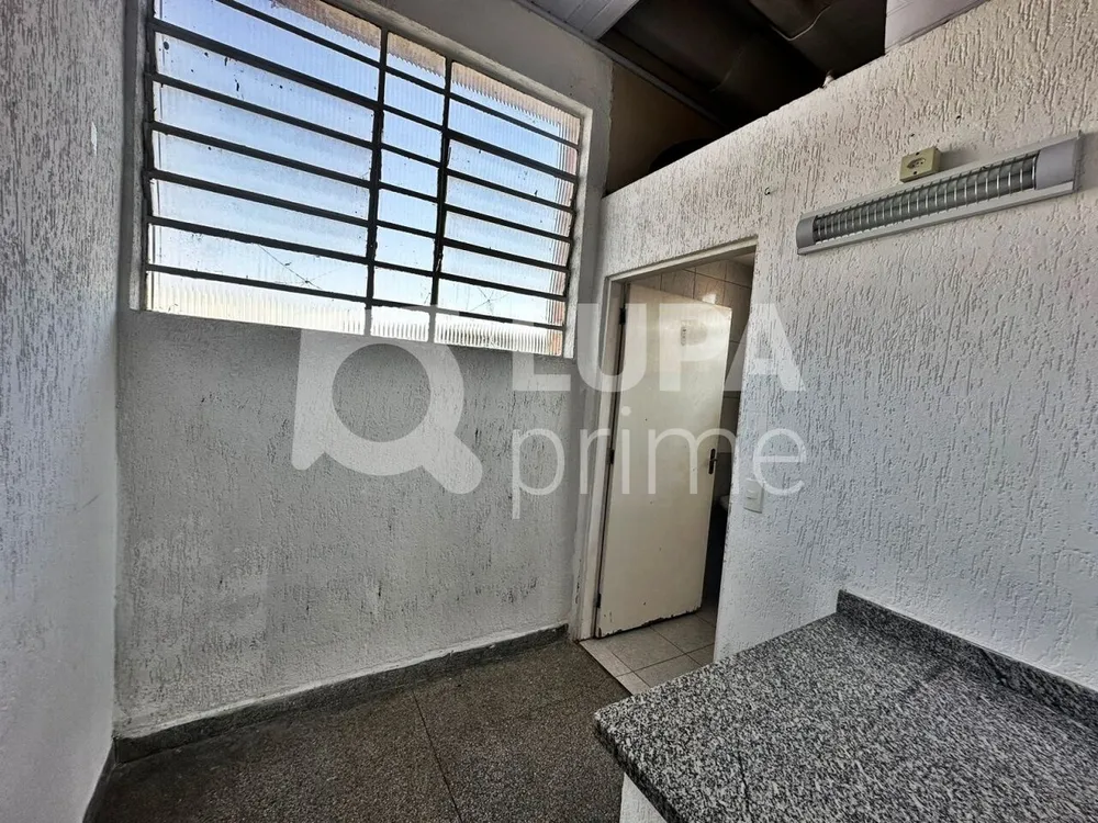 Casa, 3 quartos, 407 m² - Foto 14