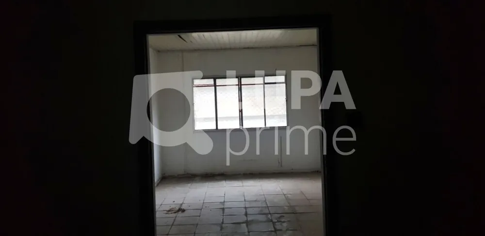 Casa, 3 quartos, 450 m² - Foto 4