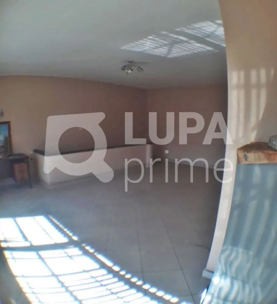 Casa, 4 quartos, 362 m² - Foto 13