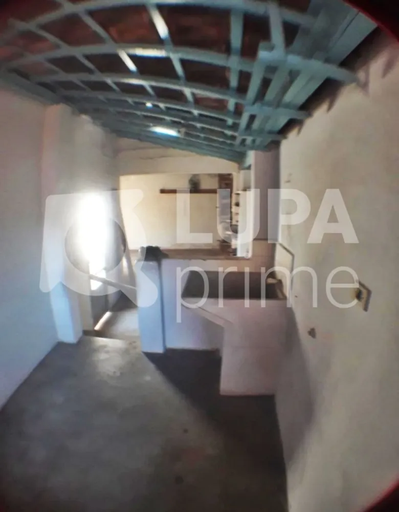 Casa, 4 quartos, 362 m² - Foto 14