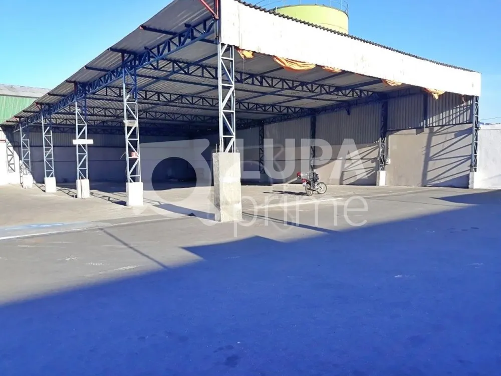 Terreno, 5900 m² - Foto 12