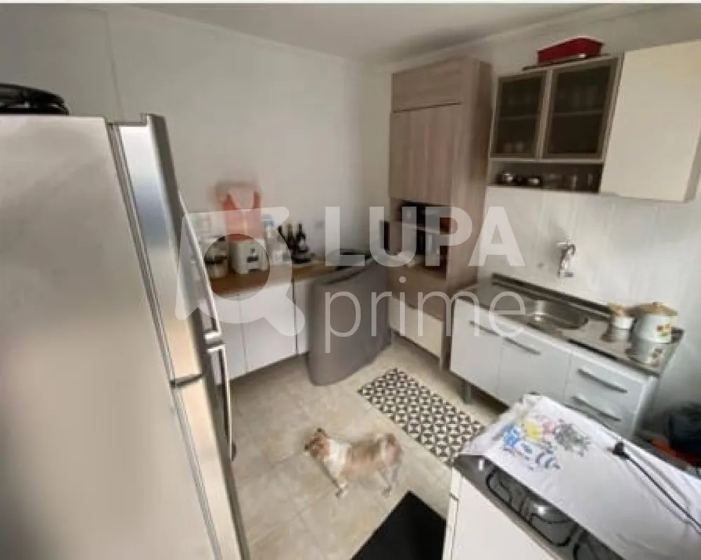 Casa, 3 quartos, 250 m² - Foto 6