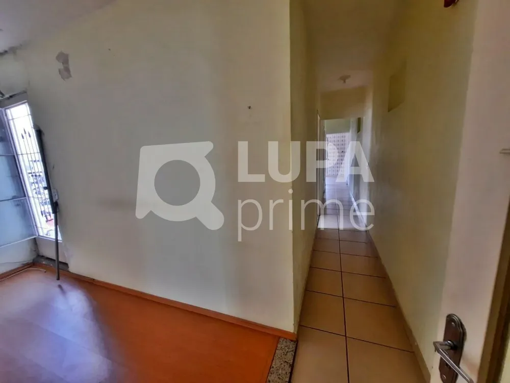 Casa, 5 quartos, 172 m² - Foto 12