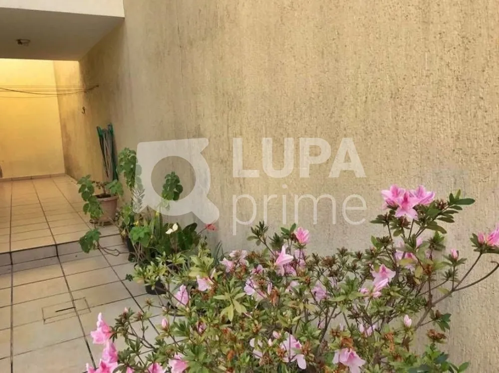 Casa, 3 quartos, 90 m² - Foto 12