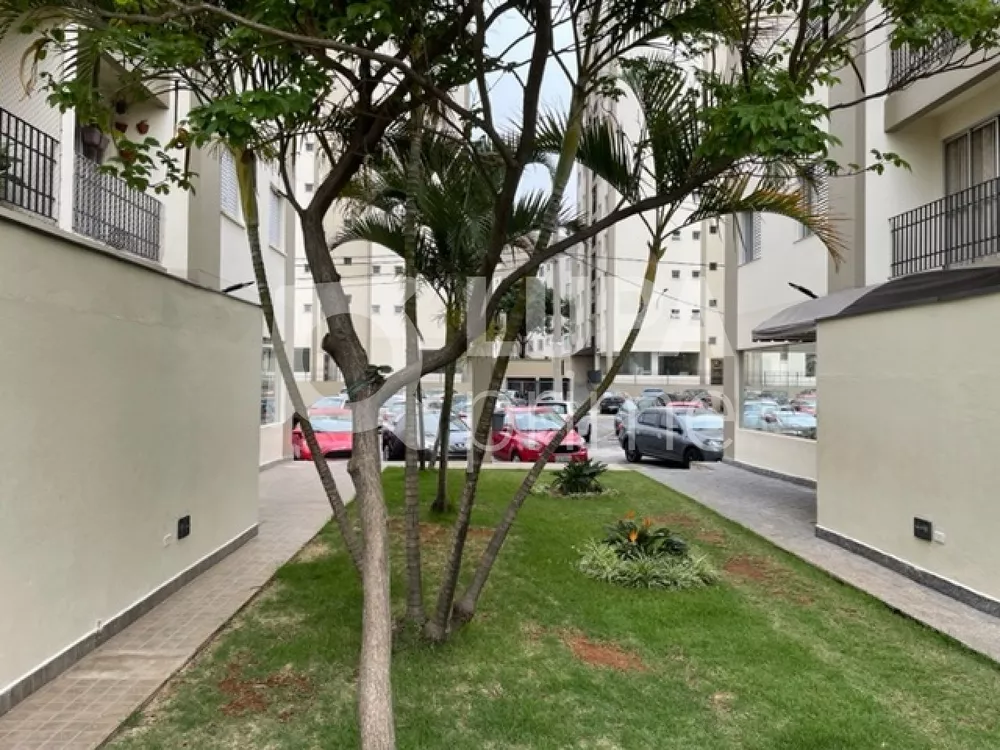 Apartamento à venda com 2 quartos, 50m² - Foto 4