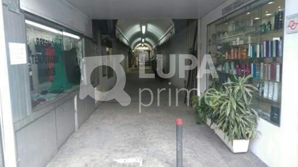 Loja-Salão, 350 m² - Foto 4