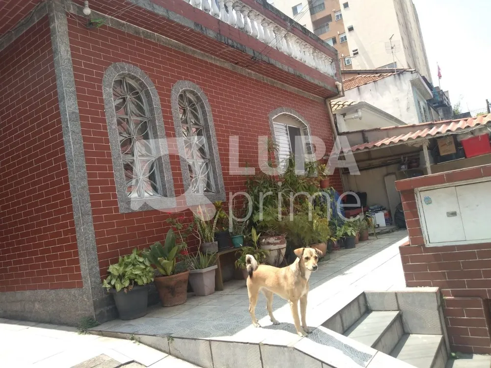 Casa, 6 quartos, 345 m² - Foto 6