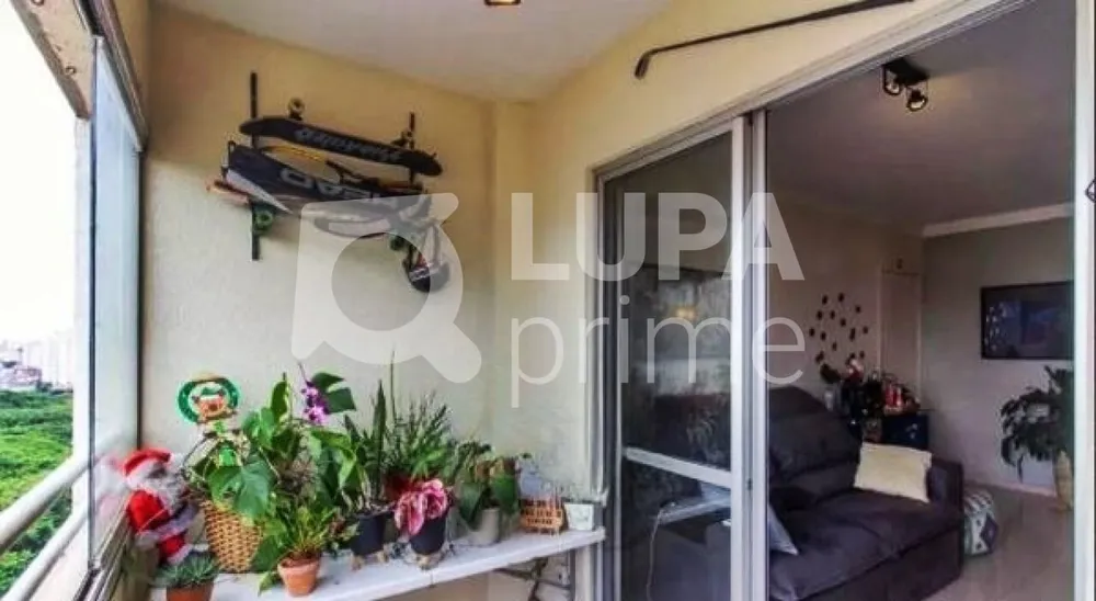 Apartamento, 3 quartos, 79 m² - Foto 8