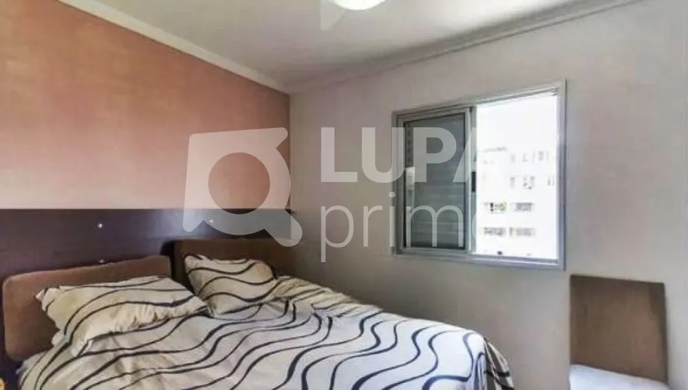 Apartamento, 3 quartos, 79 m² - Foto 16