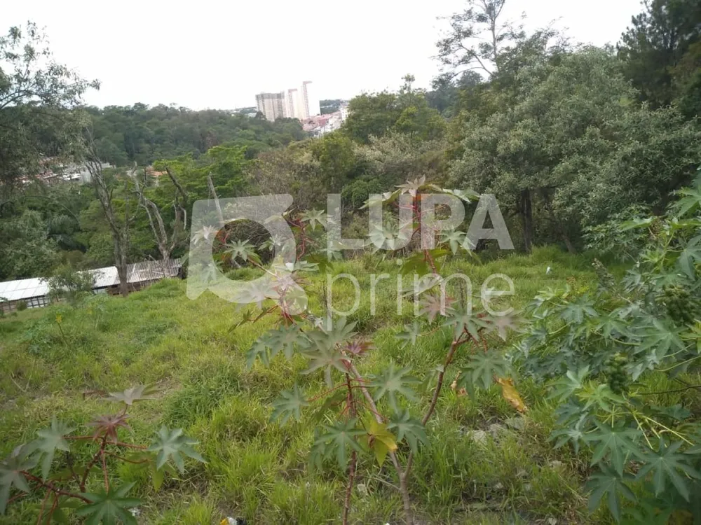Terreno, 3 hectares - Foto 8