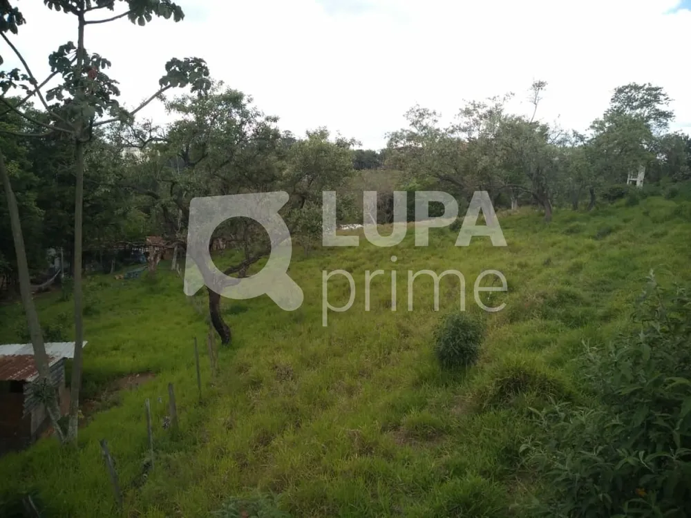 Terreno, 3 hectares - Foto 7