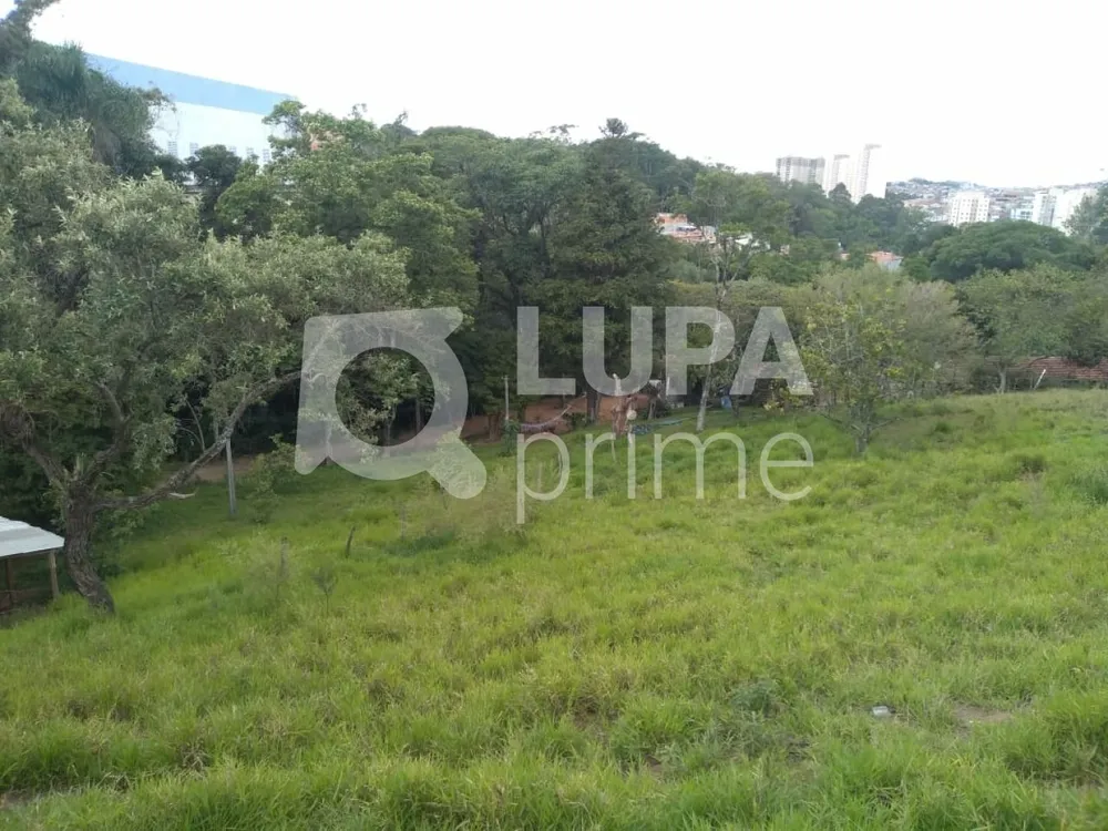 Terreno, 3 hectares - Foto 2