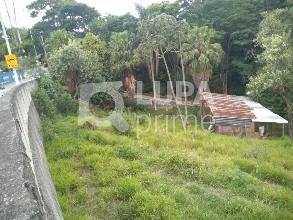 Terreno, 3 hectares - Foto 1