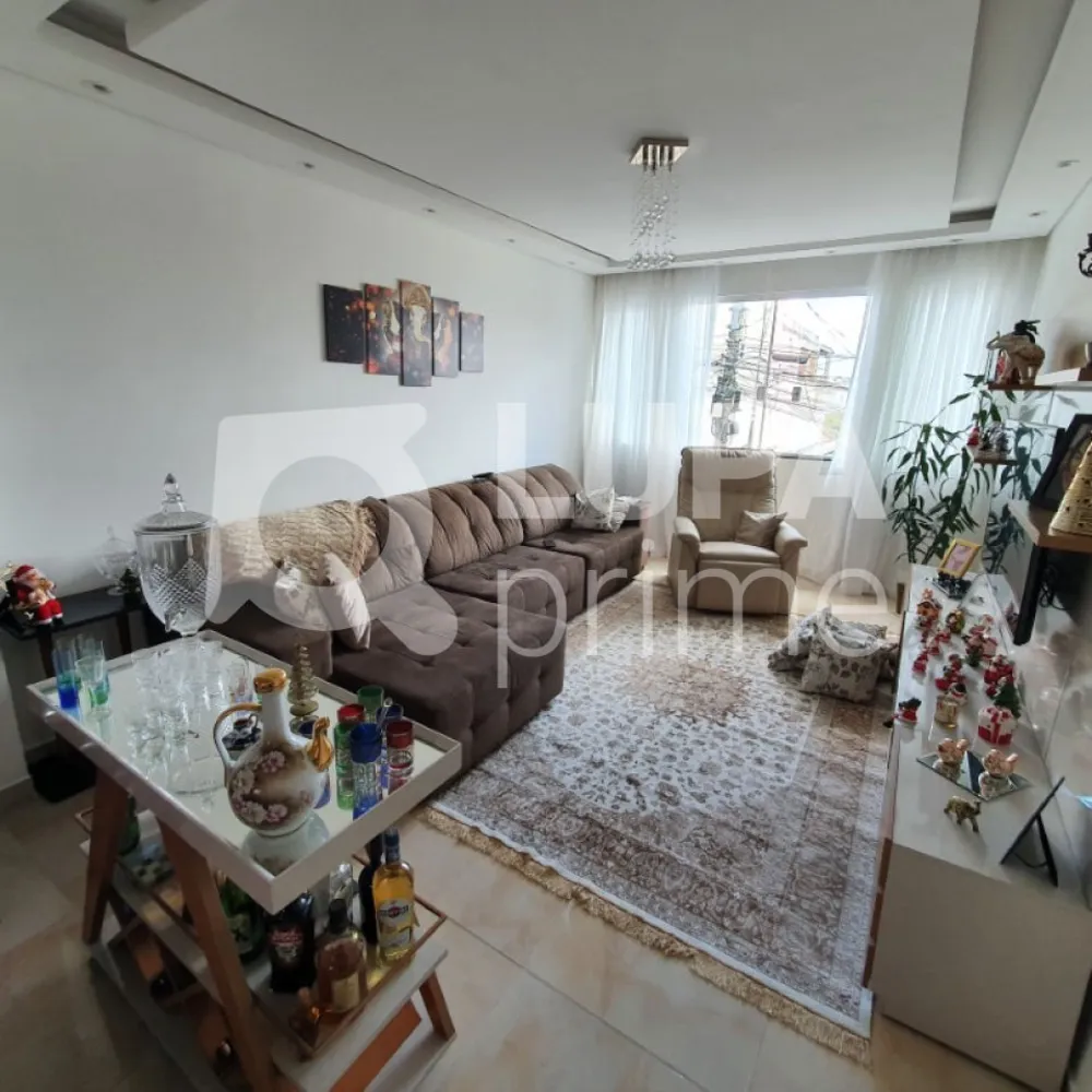 Casa, 3 quartos, 450 m² - Foto 3