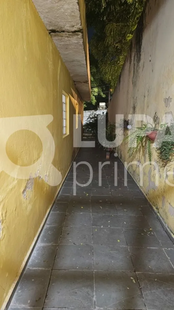 Casa, 4 quartos, 250 m² - Foto 9
