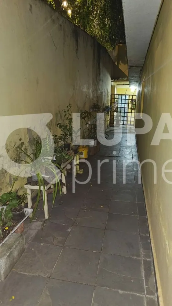 Casa, 4 quartos, 250 m² - Foto 12