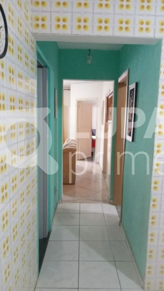 Casa, 3 quartos, 239 m² - Foto 6