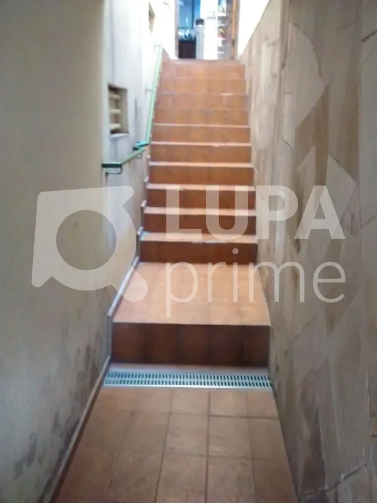 Casa, 4 quartos, 251 m² - Foto 6