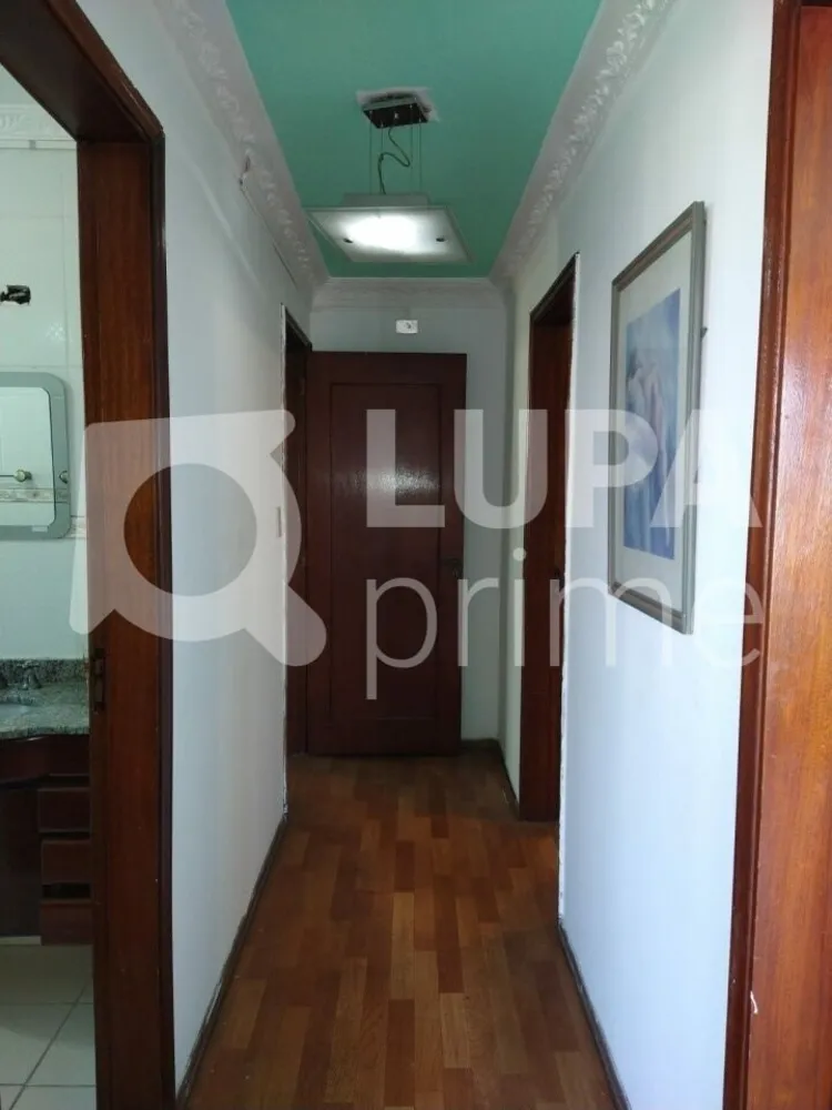 Casa, 3 quartos, 500 m² - Foto 5