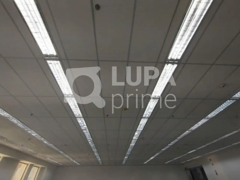 Sala-Conjunto, 304 m² - Foto 6