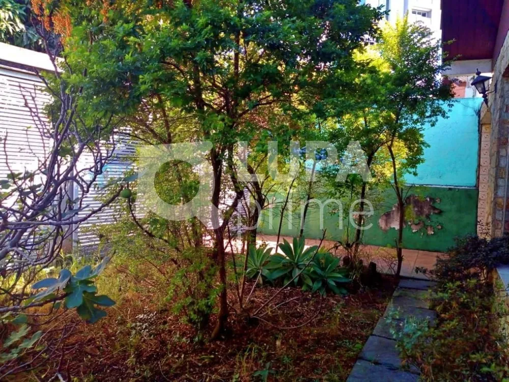 Casa, 3 quartos, 285 m² - Foto 4