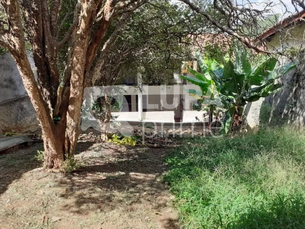 Casa, 5 quartos, 301 m² - Foto 5