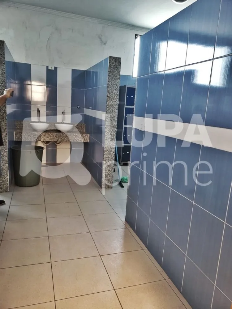 Depósito-Galpão, 800 m² - Foto 3