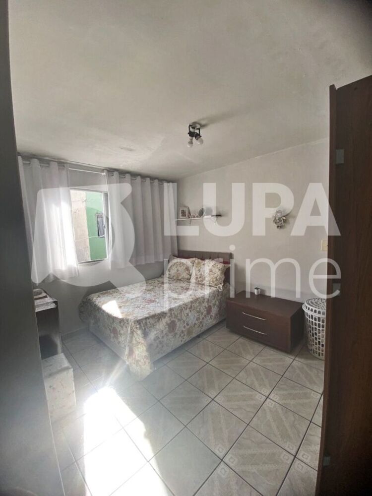 Casa, 6 quartos, 250 m² - Foto 3
