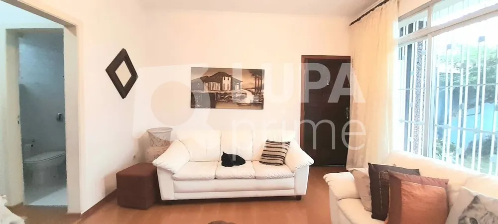 Casa, 3 quartos, 280 m² - Foto 7