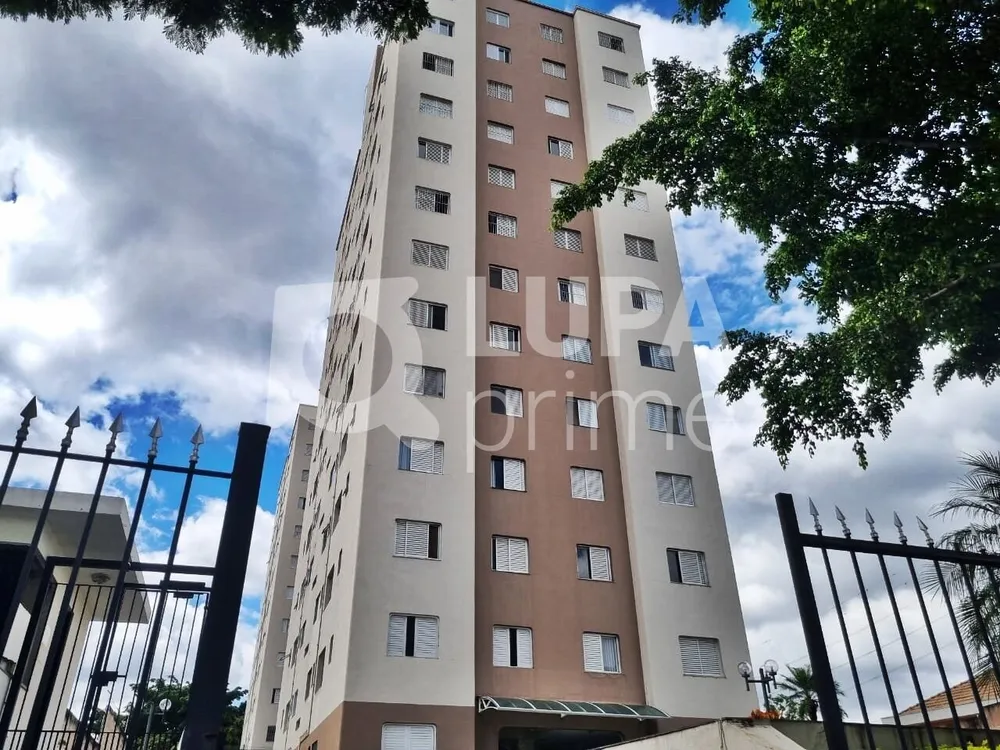 Apartamento, 2 quartos, 63 m² - Foto 12