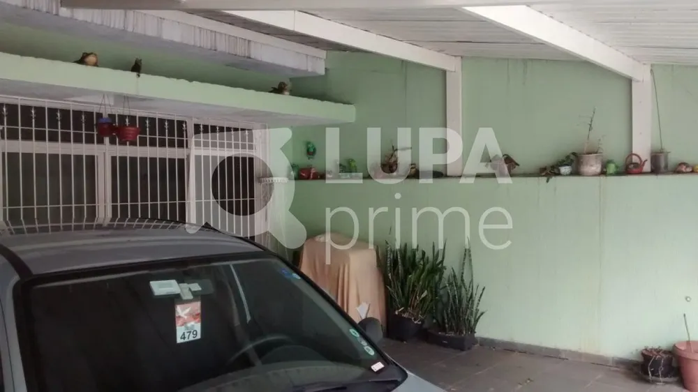 Casa, 4 quartos, 260 m² - Foto 6