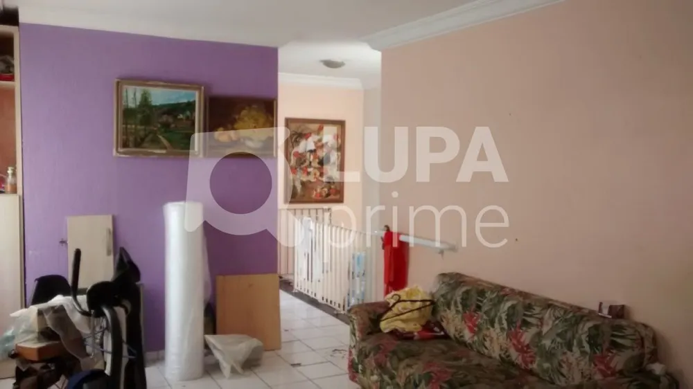 Casa, 4 quartos, 260 m² - Foto 12