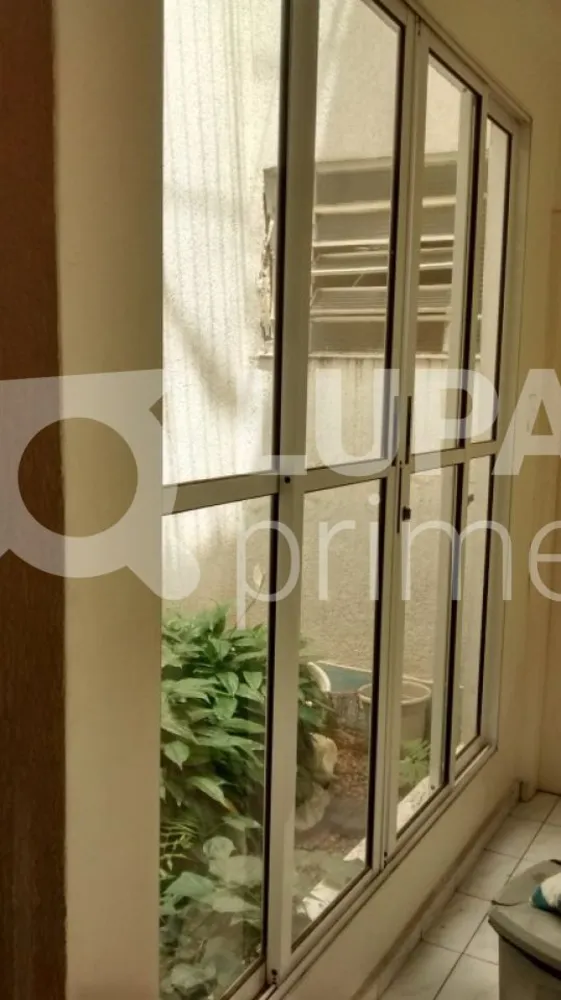 Casa, 4 quartos, 260 m² - Foto 11