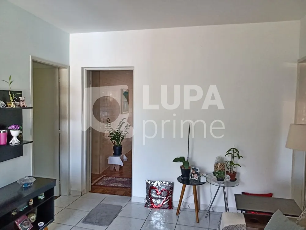Casa, 8 quartos, 250 m² - Foto 8