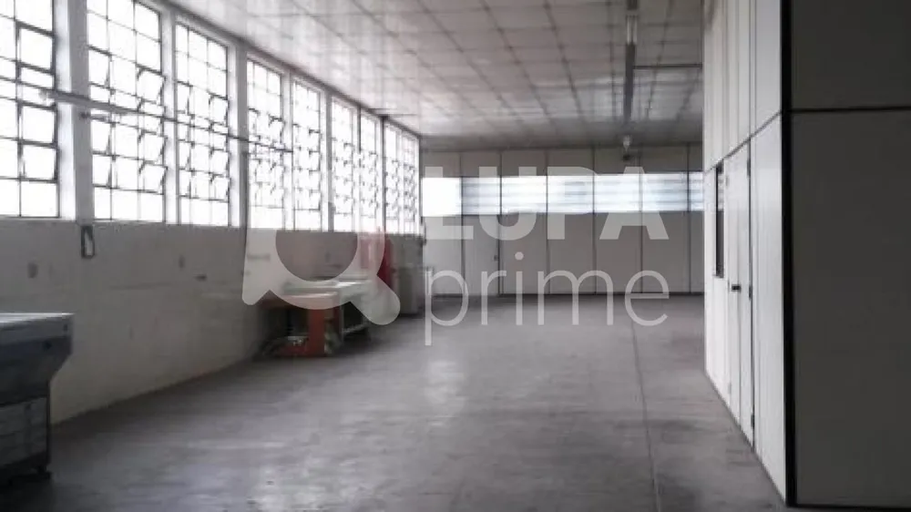 Sala-Conjunto, 1150 m² - Foto 4